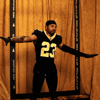 GIF by New Orleans Saints
