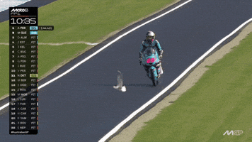 Save Motorcycle Racing GIF by MotoGP™