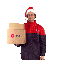 Christmas Delivery Sticker by DPD France