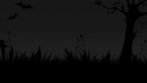 GIF by PRO14Official