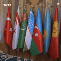 Turkish Flag GIF by TRT