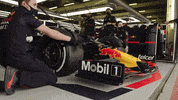 GIF by Red Bull Racing