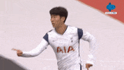 Spurs Tottenham GIF by MolaTV