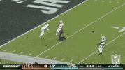 National Football League GIF by NFL
