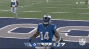 National Football League GIF by NFL