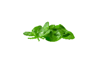 Sandwich Sticker by Papas Sabritas