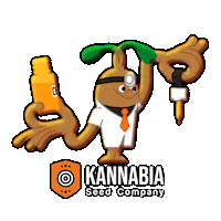 KannabiaSeeds cbd growing seeds therapeutic Sticker