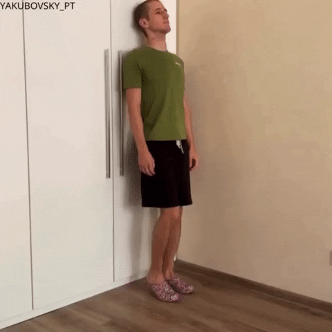 svitlanayevsieieva giphyupload GIF