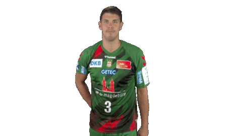 Handball-Bundesliga Handball Sticker by LIQUI MOLY HBL