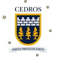 Colegiocedros GIF by Cedros