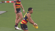 eddie betts celebration GIF by Adelaide Crows