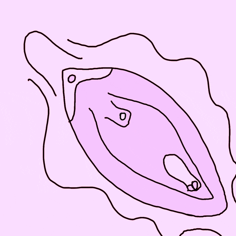 hellisinmyhead giphyupload feminism menstruation vagina GIF