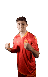 Rfc1913 Sticker by Ravenna Football Club 1913 Spa