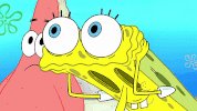 episode 1 GIF by SpongeBob SquarePants