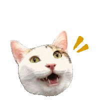 niuniulan cat lazy stayhome 貓 Sticker