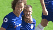 happy eden hazard GIF by Chelsea FC