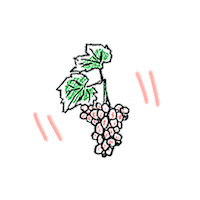 Wine Rose Sticker by Sella & Mosca