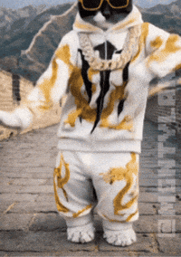 Monster Monty GIF