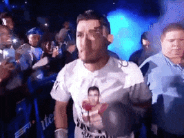 toprank fight boxing fighting espn GIF