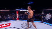 ufc 221 sport GIF by UFC
