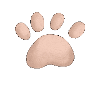 olyakartashova dog hello pet paw Sticker