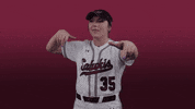 siusalukis siu salukis salukisoftball siusoftball GIF