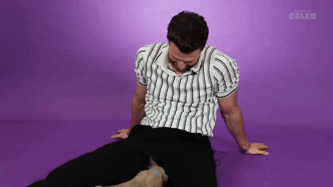 Dog Puppy GIF by BuzzFeed