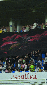 Football Soccer GIF by sabahfc