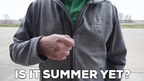 Get Connected Summer GIF by Connect Transit