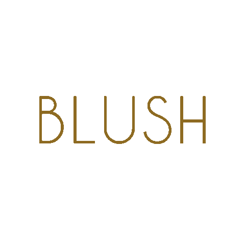 blush-conceptstore giphyupload blush blush concept store blushconceptstore Sticker