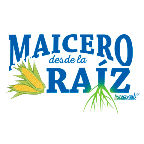 Maiz Raiz Sticker by Innoval Global