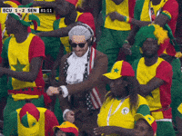 Ghana Soccer Fans GIF