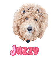 Dog Sticker