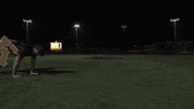 College Baseball GIF by Pearl River Athletics