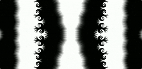 Black And White Mask GIF