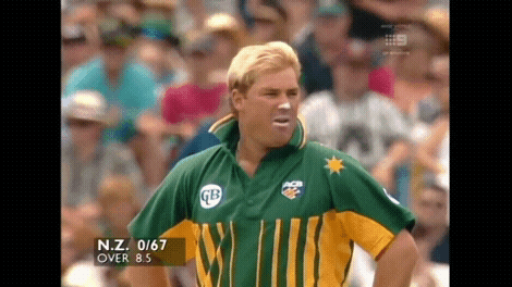 cricketcomau giphyupload cricket GIF