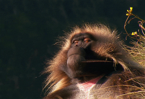 mood GIF