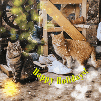 Merry Christmas GIF