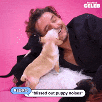 Relaxing Star Wars GIF by BuzzFeed