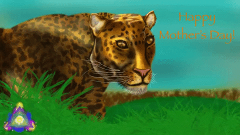 phosforia mothers day leopard phosforia GIF