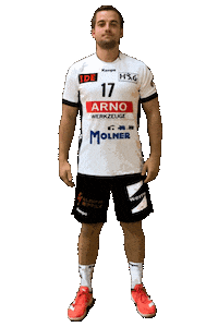 hsgostfildern handball handshake kempa hsgostfildern Sticker