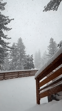 Heavy Snow Showers Hit Truckee, California