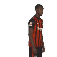 Posing Line Up Sticker by Bundesliga