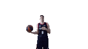 Liga Endesa Basketball Sticker by ACB