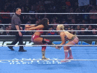 Wwe Brush Off GIF