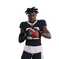 Football Sport Sticker by New Orleans Saints