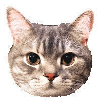 Cat Love Sticker by sugarbitz and friends