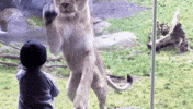 playin GIF