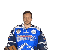 Fight Hockey Sticker by SCRIESSERSEE