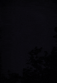 Art Lightning GIF by davestrick